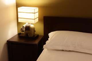 Отели типа «постель и завтрак» La Livada Отопень Стандартный двухместный номер с 1 кроватью-4